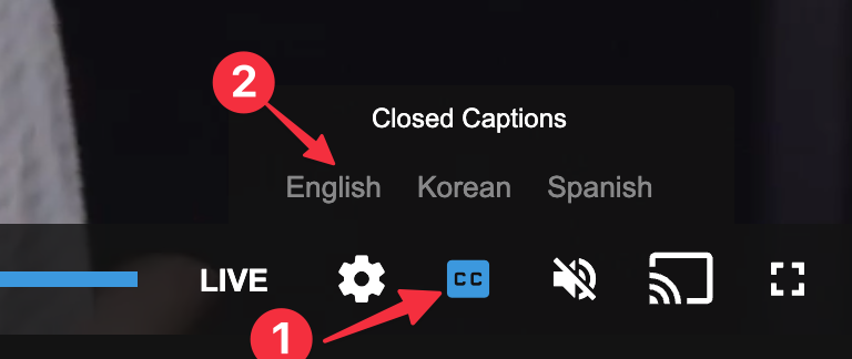 manageSubtitlesPlayer